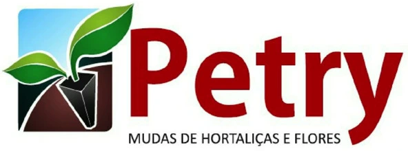 Petry Mudas